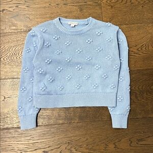 Crewcuts light blue bobble sweater